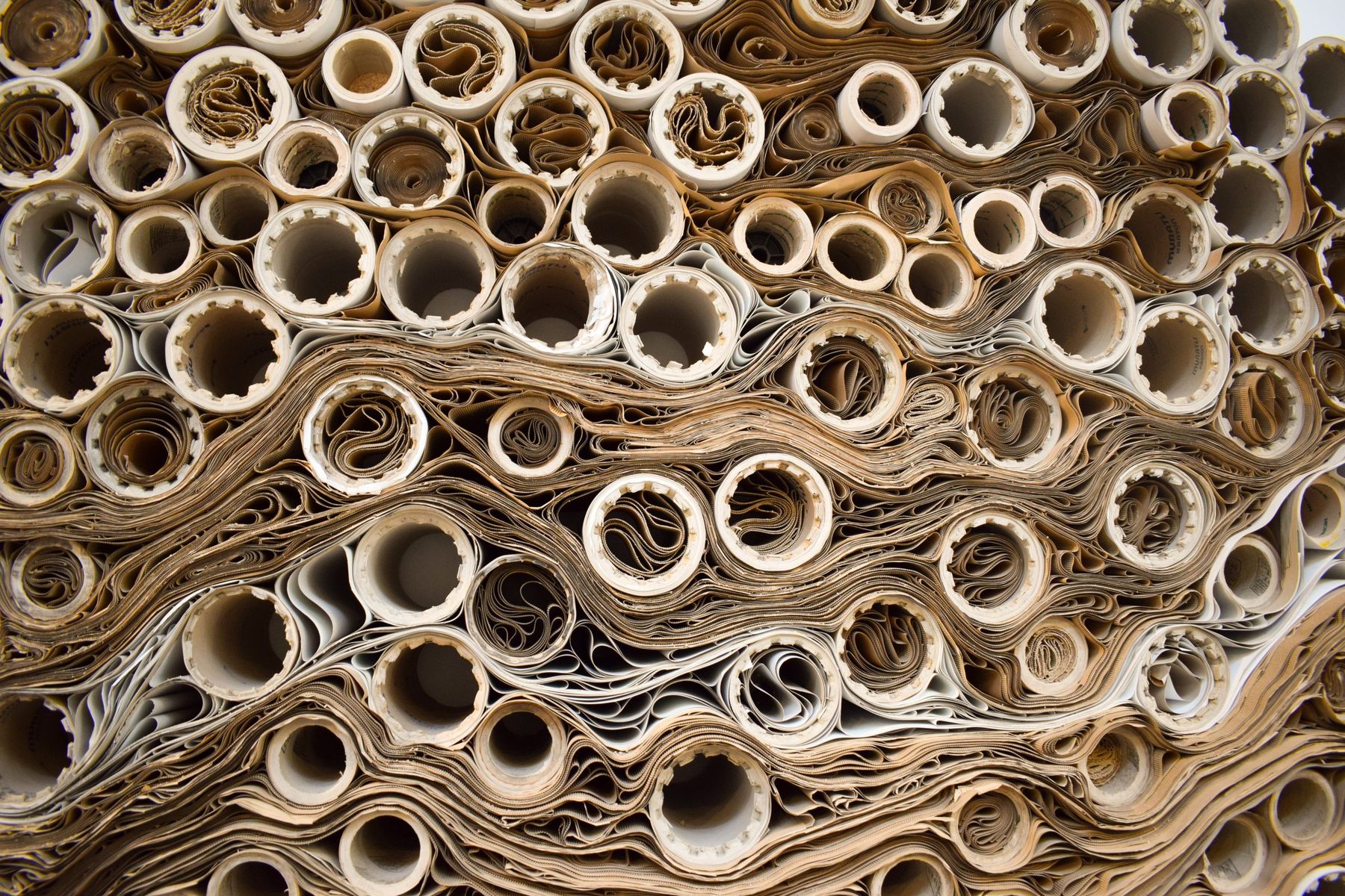 A paper mill